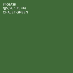 #406A38 - Chalet Green Color Image